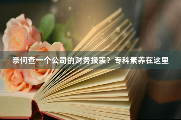 奈何查一个公司的财务报表？专科素养在这里