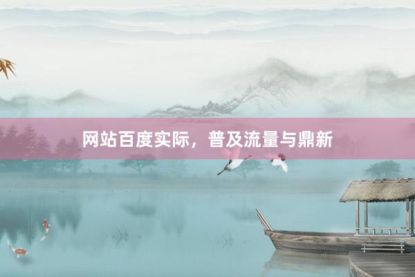 网站百度实际，普及流量与鼎新