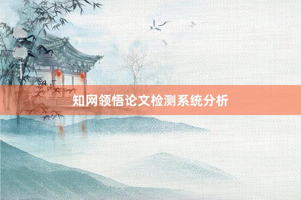 知网领悟论文检测系统分析
